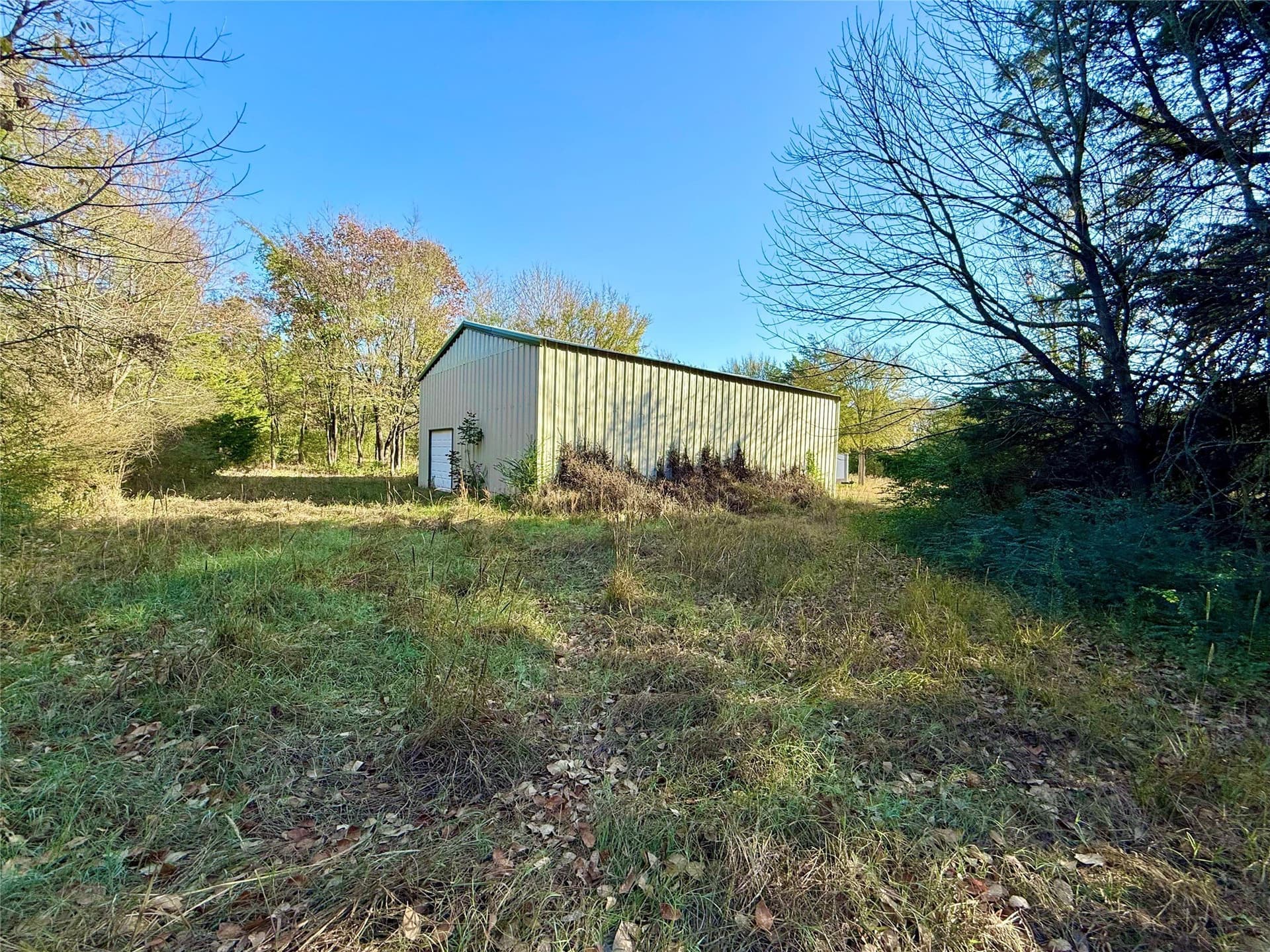 4 acres in Fannin County gallery image 4