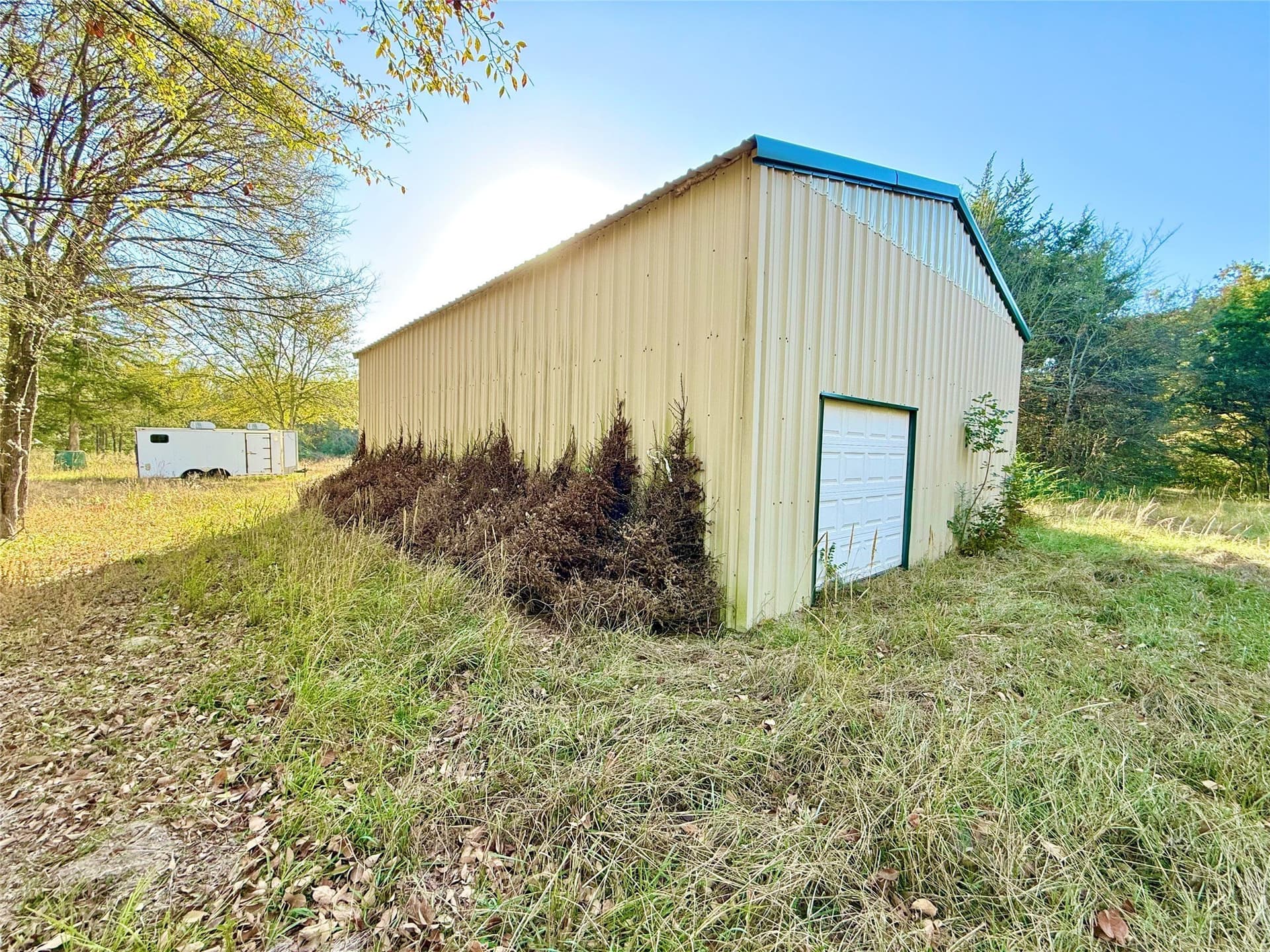 4 acres in Fannin County gallery image 2