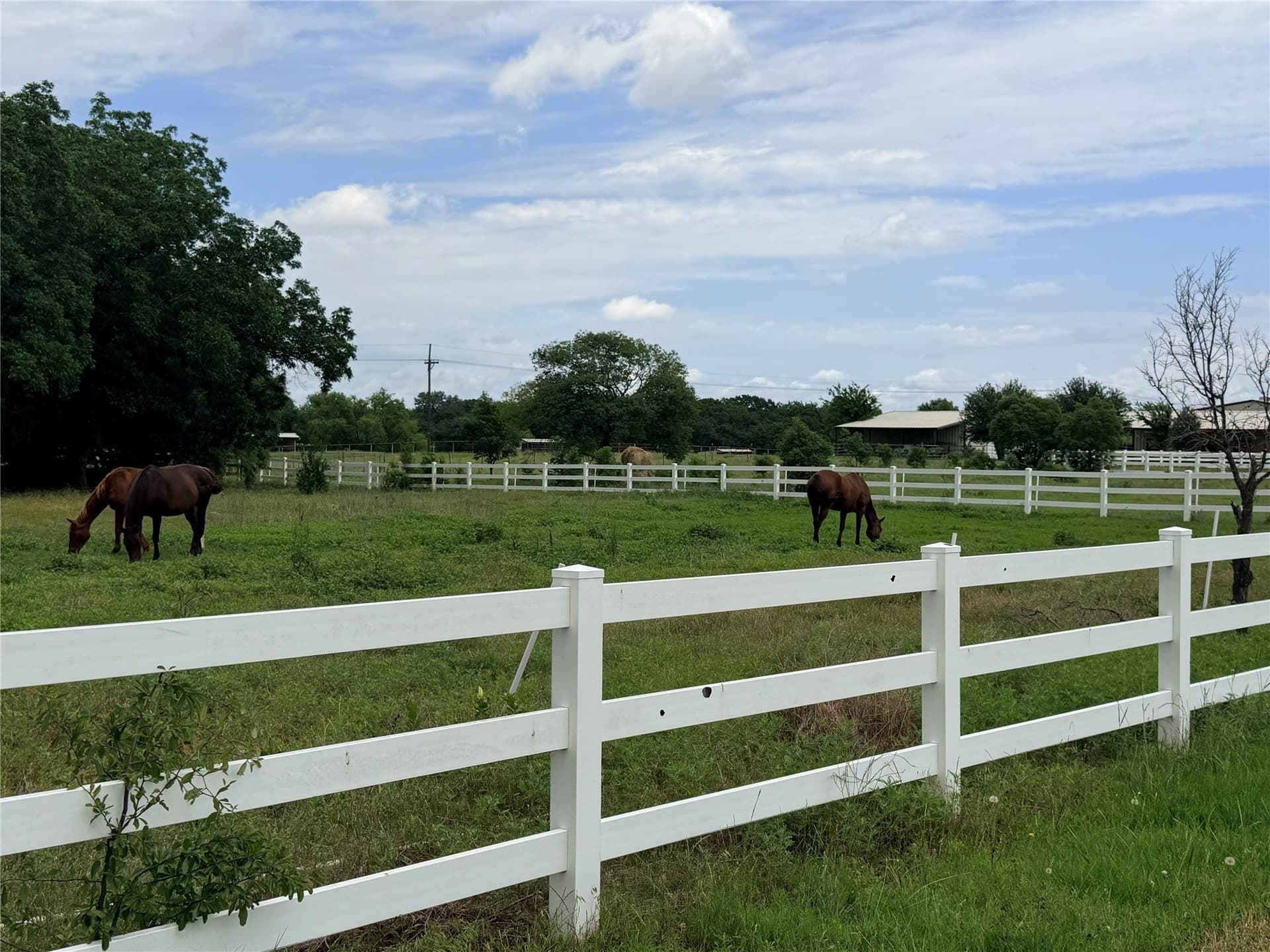 65.3 acres in Denton County - photo 16
