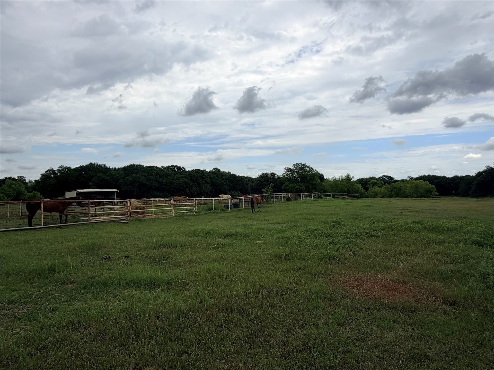 65.3 acres in Denton County - photo 8