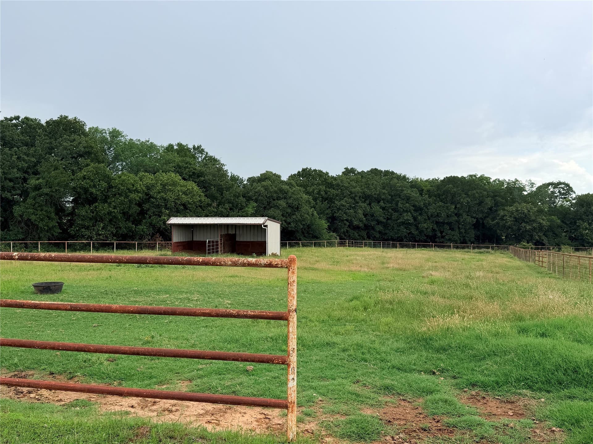 65.3 acres in Denton County gallery image 4