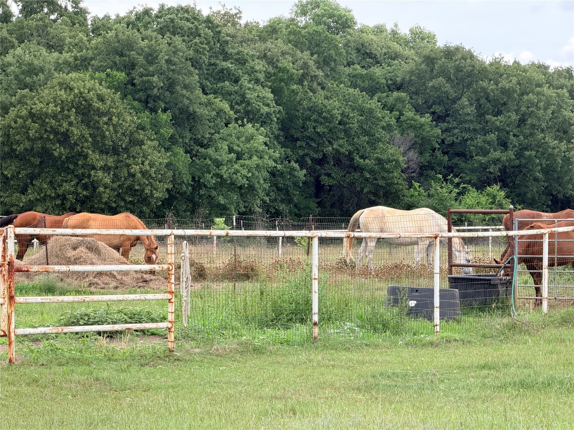 65.3 acres in Denton County featured view