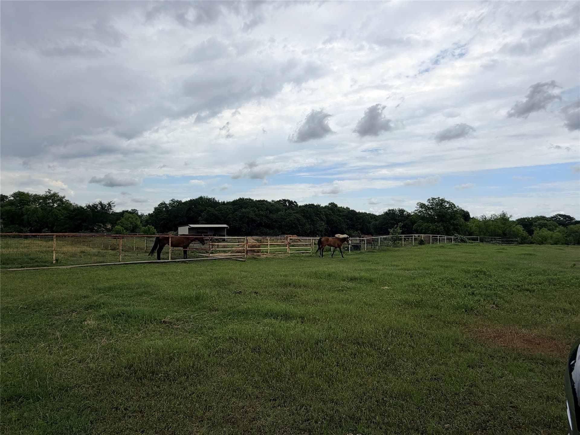 65.3 acres in Denton County - photo 9