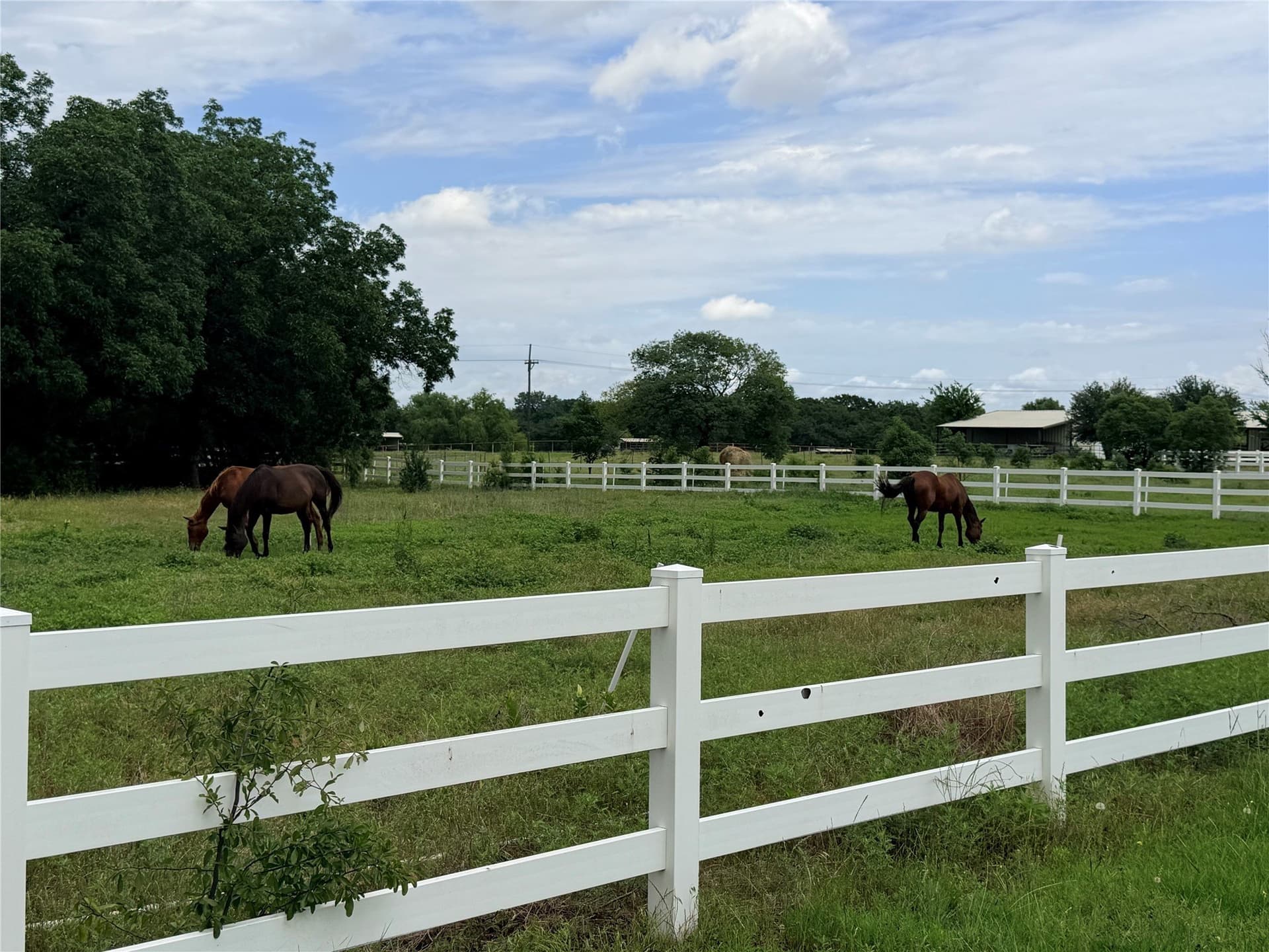 65.3 acres in Denton County - photo 17