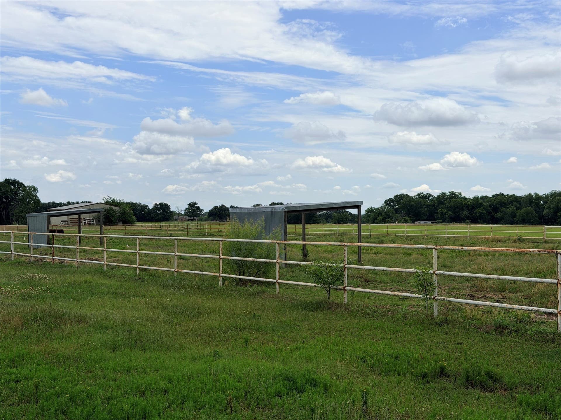 65.3 acres in Denton County - photo 15