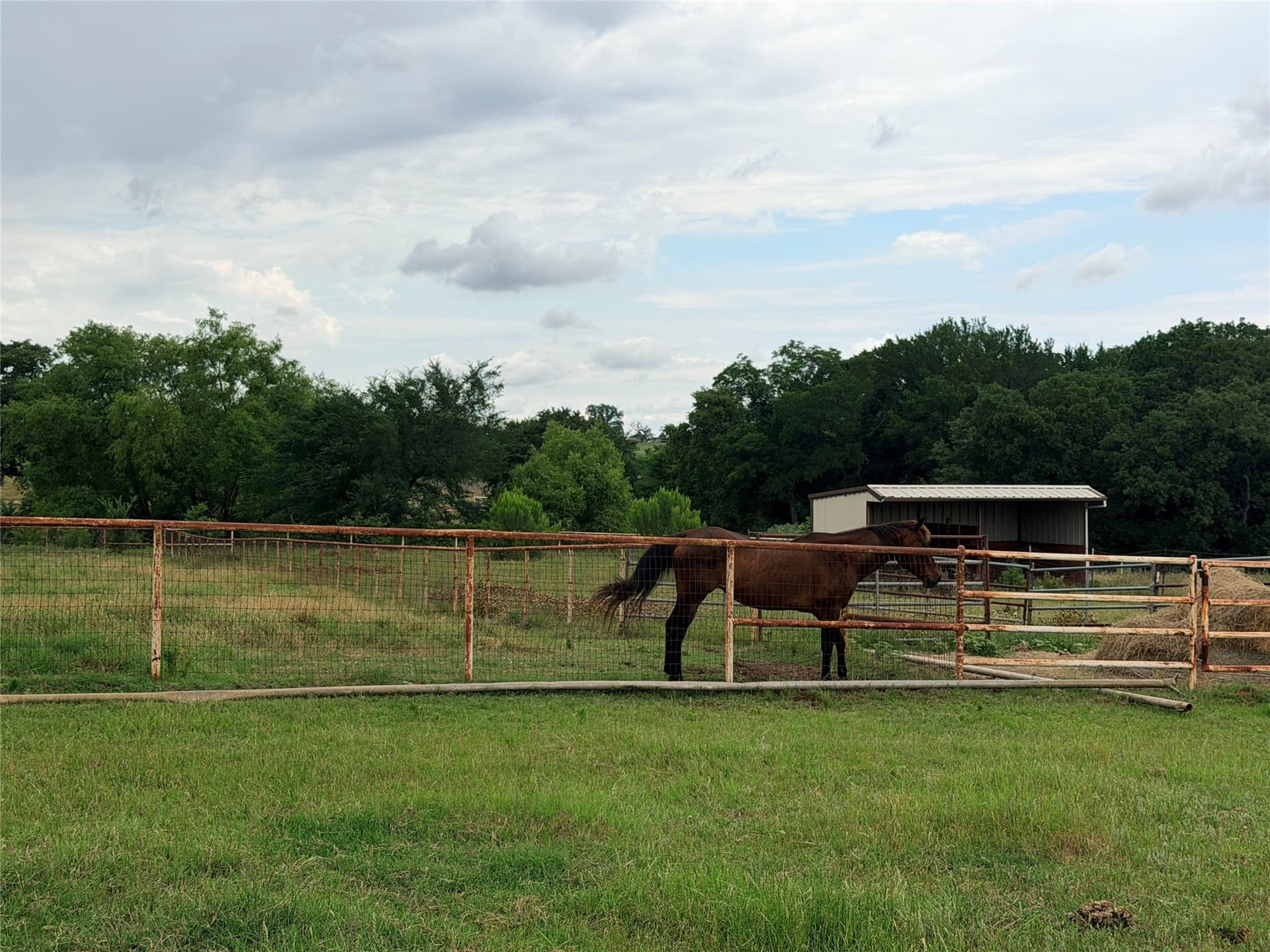 65.3 acres in Denton County - photo 7