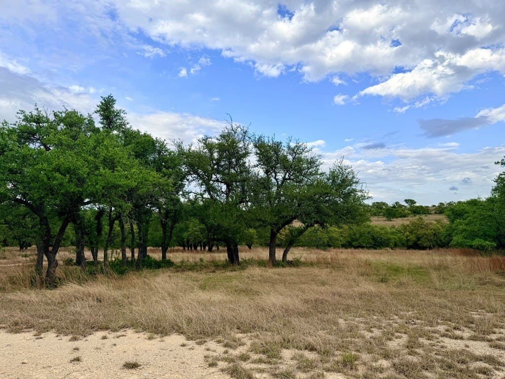 7.01 acres in Blanco County - photo 10
