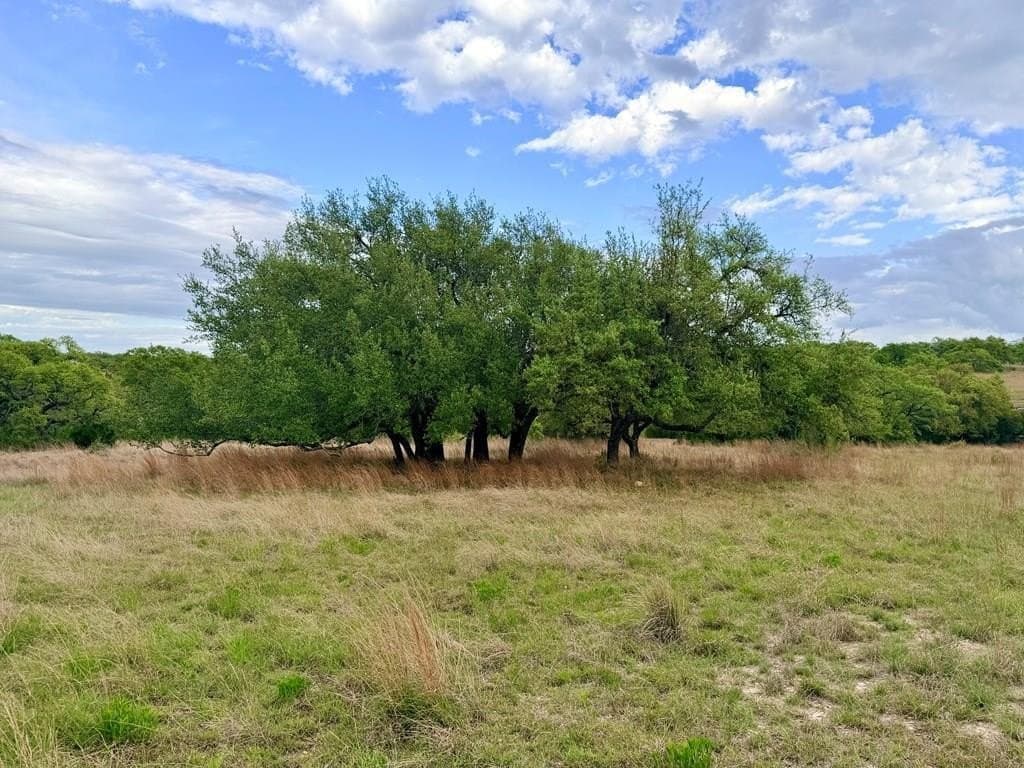 7.01 acres in Blanco County gallery image 2