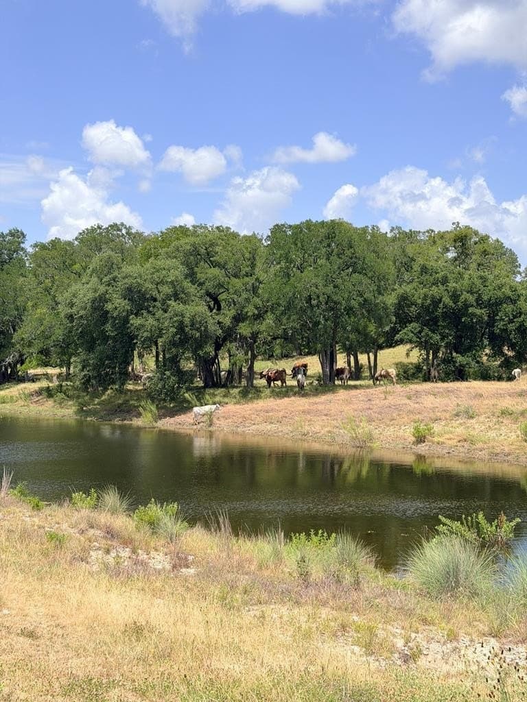 7.01 acres in Blanco County - photo 21