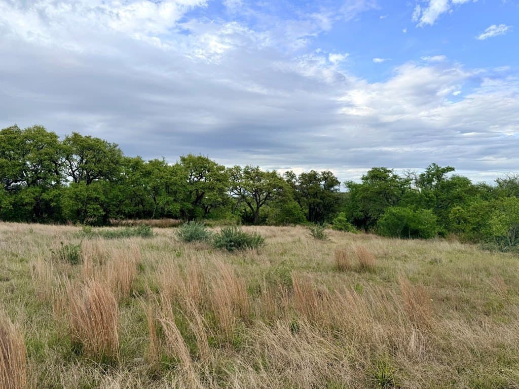 7.01 acres in Blanco County gallery image 4