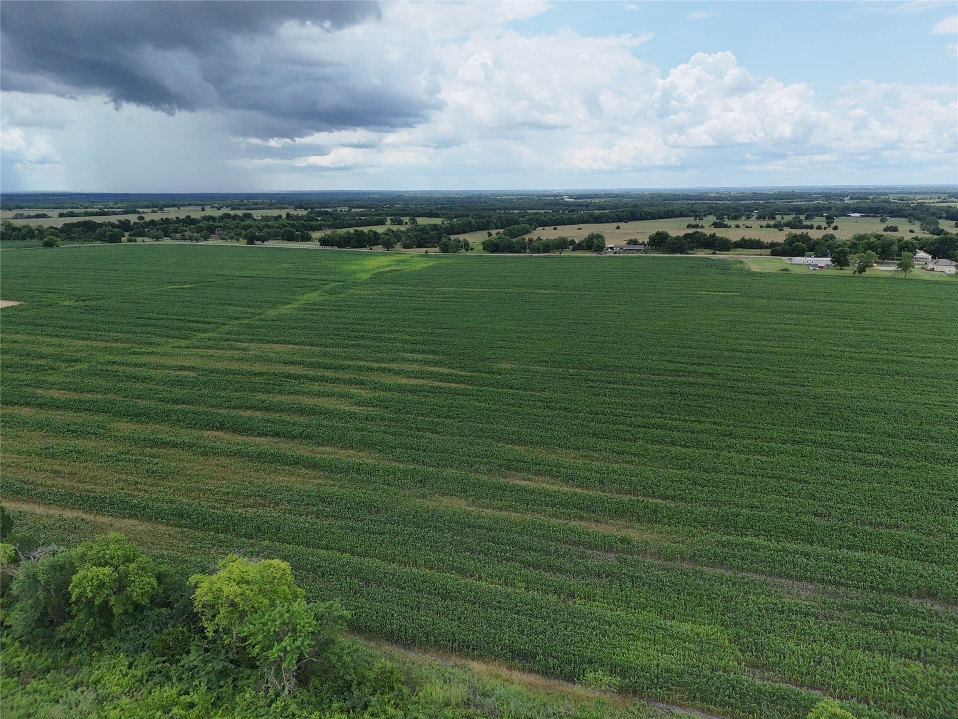 15 acres in Delta County featured view