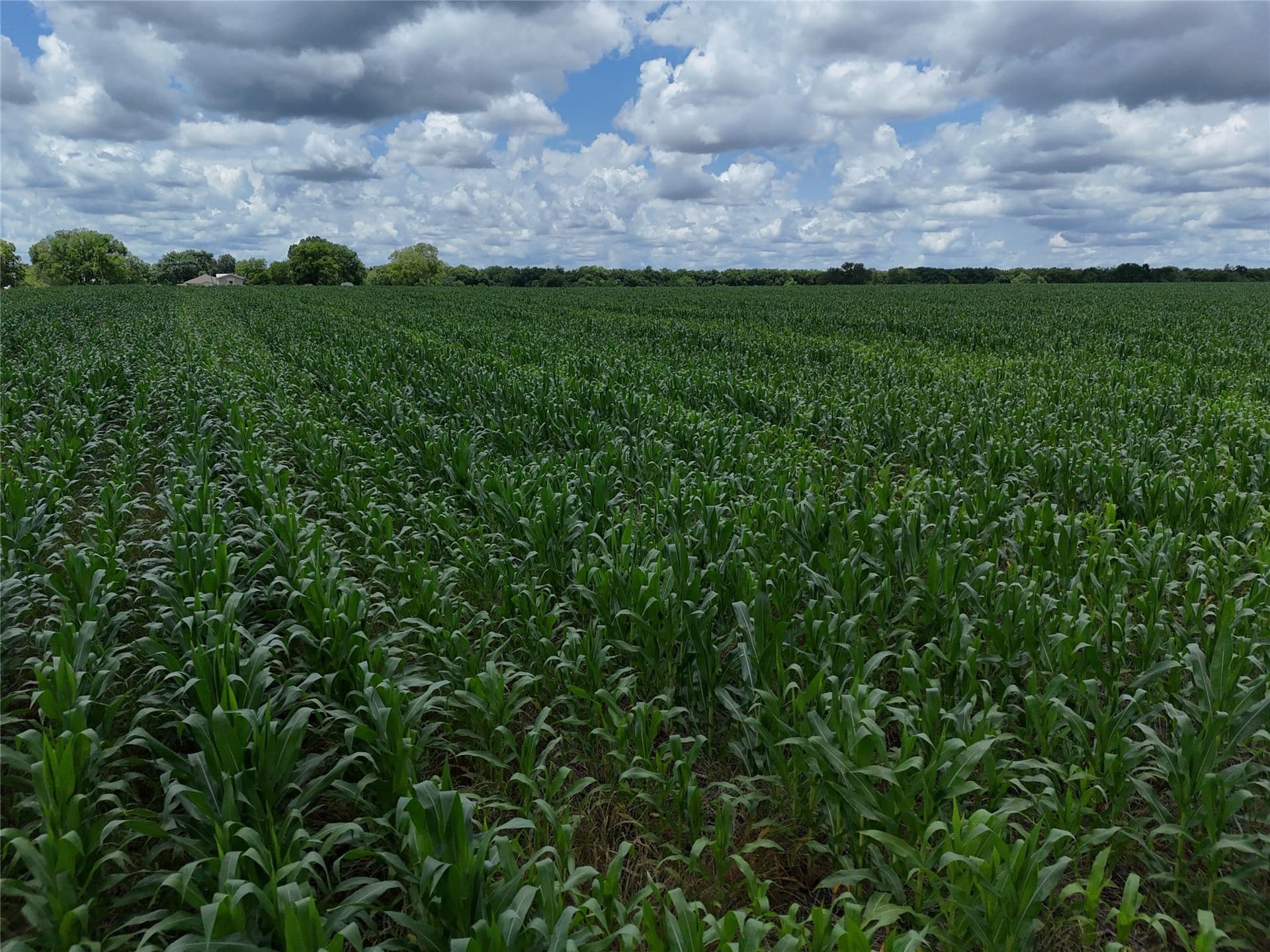 15 acres in Delta County gallery image 3