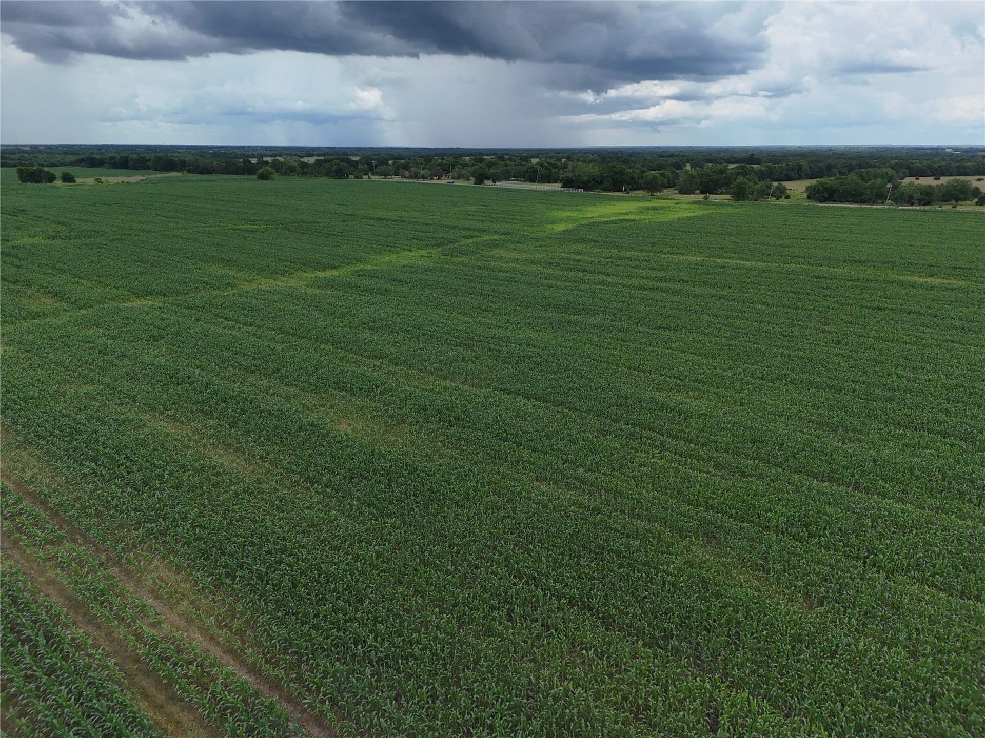 15 acres in Delta County