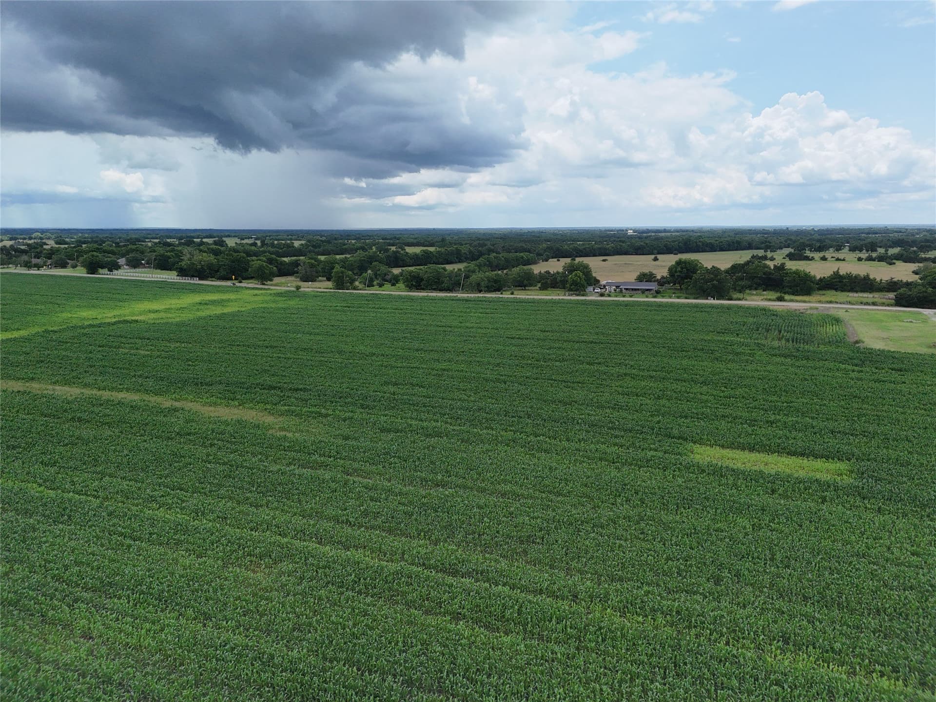 15 acres in Delta County gallery image 4
