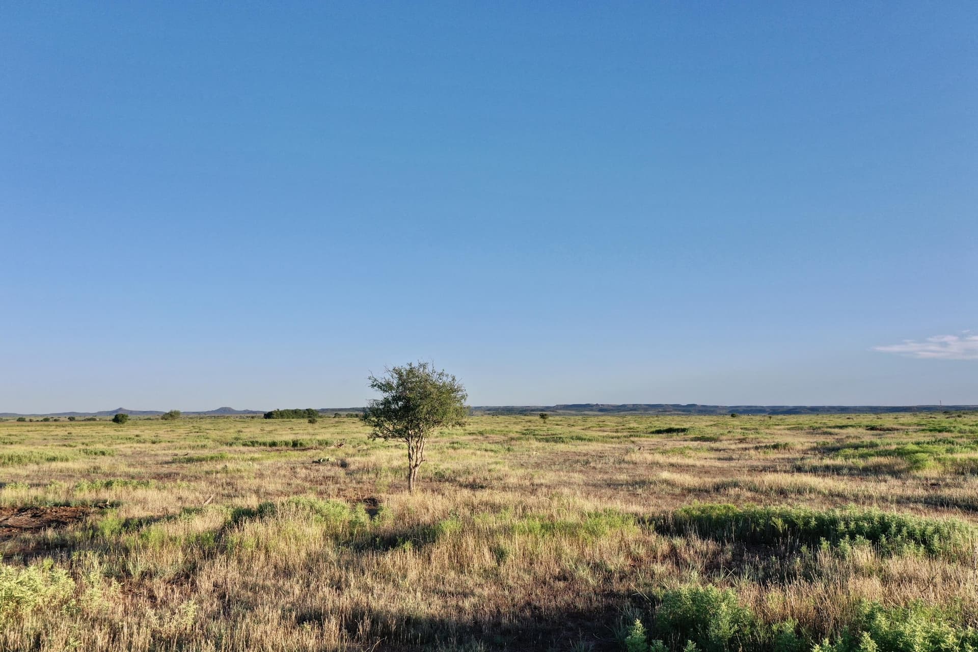 147.72 acres in Floyd County - photo 12