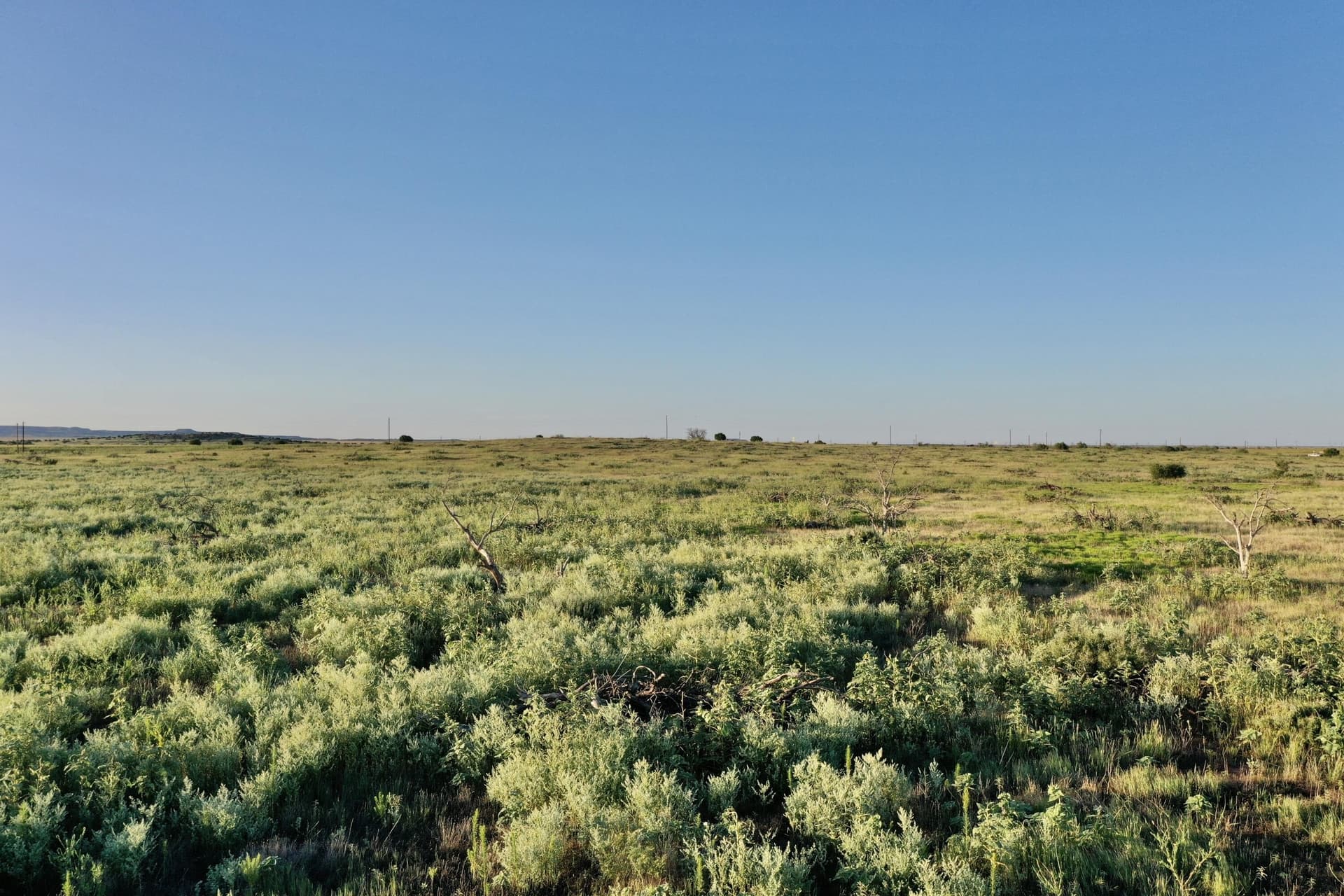 147.72 acres in Floyd County - photo 8