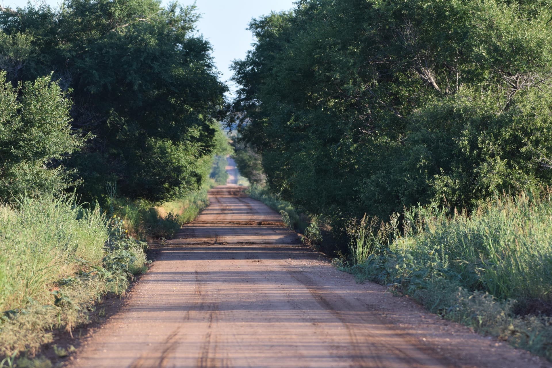 147.72 acres in Floyd County - photo 19