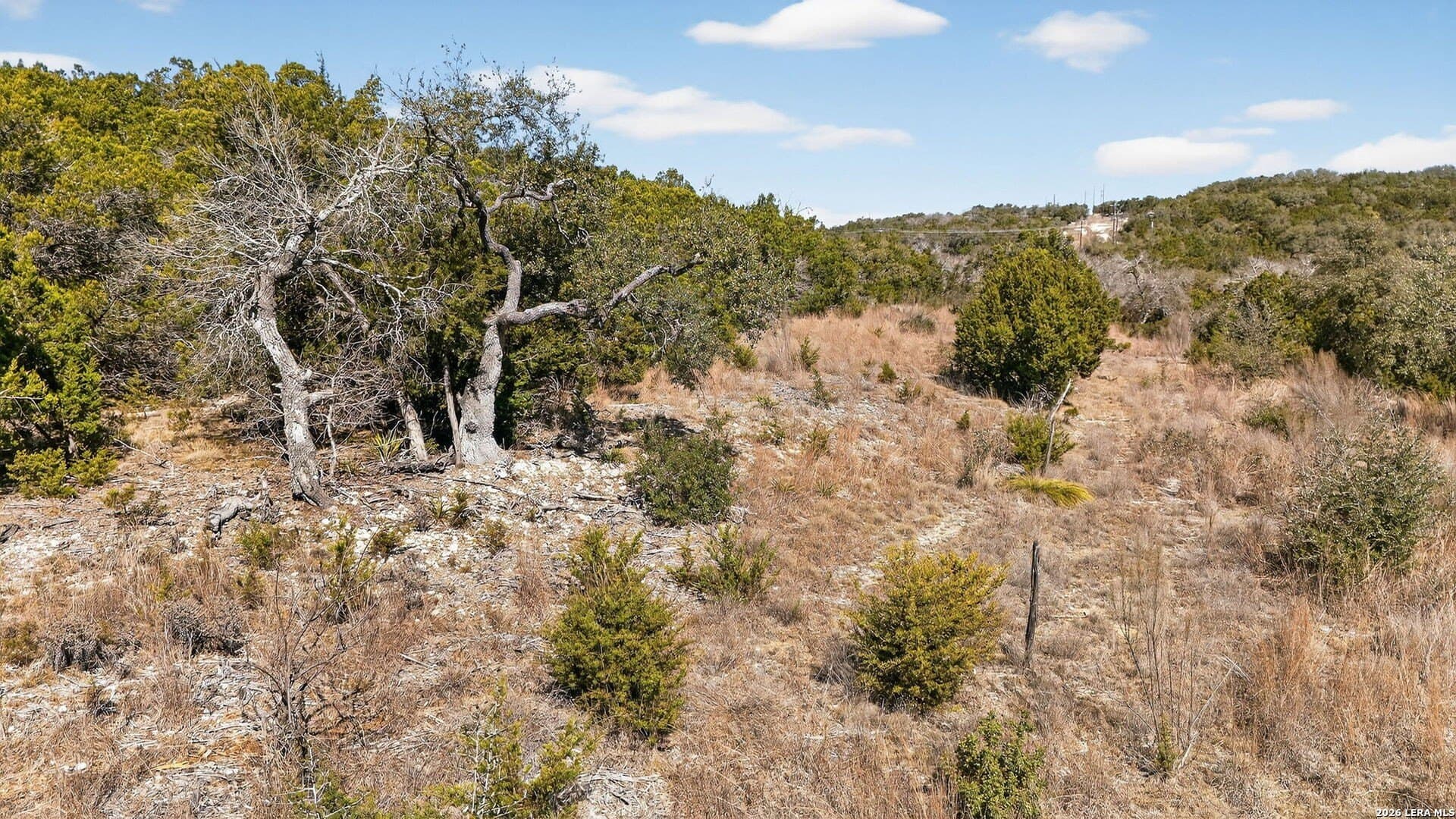 10.11 acres in Comal County gallery image 3