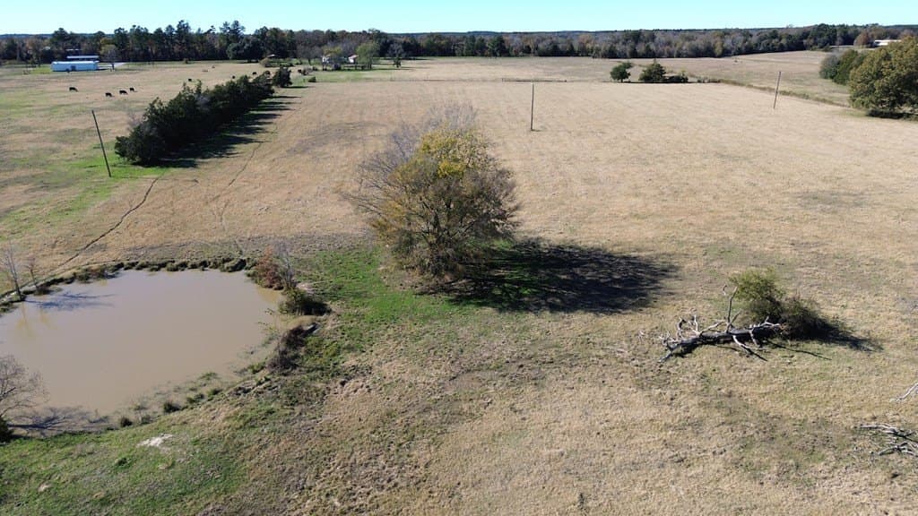 19.95 acres in Texas County gallery image 4