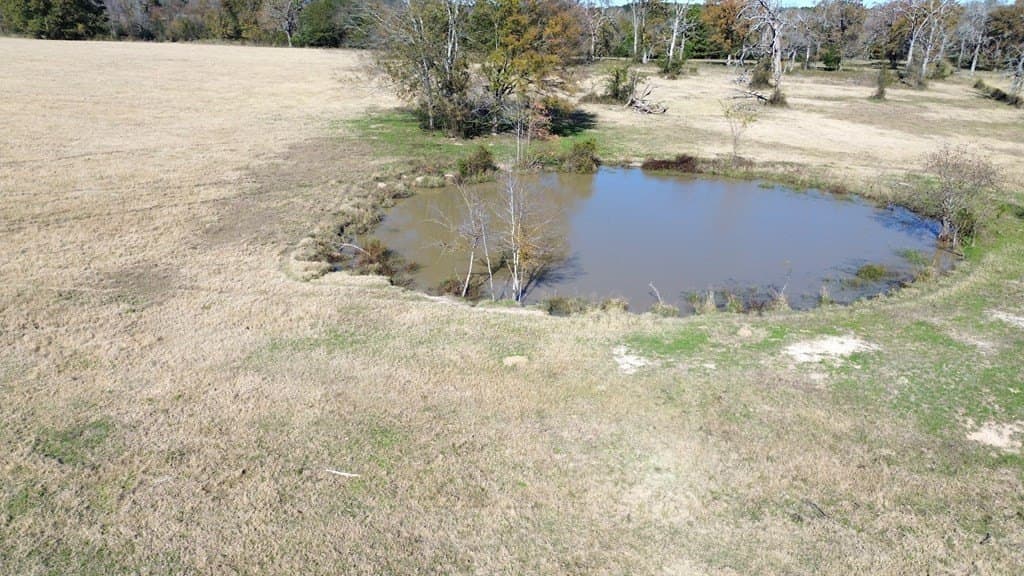 19.95 acres in Texas County featured view