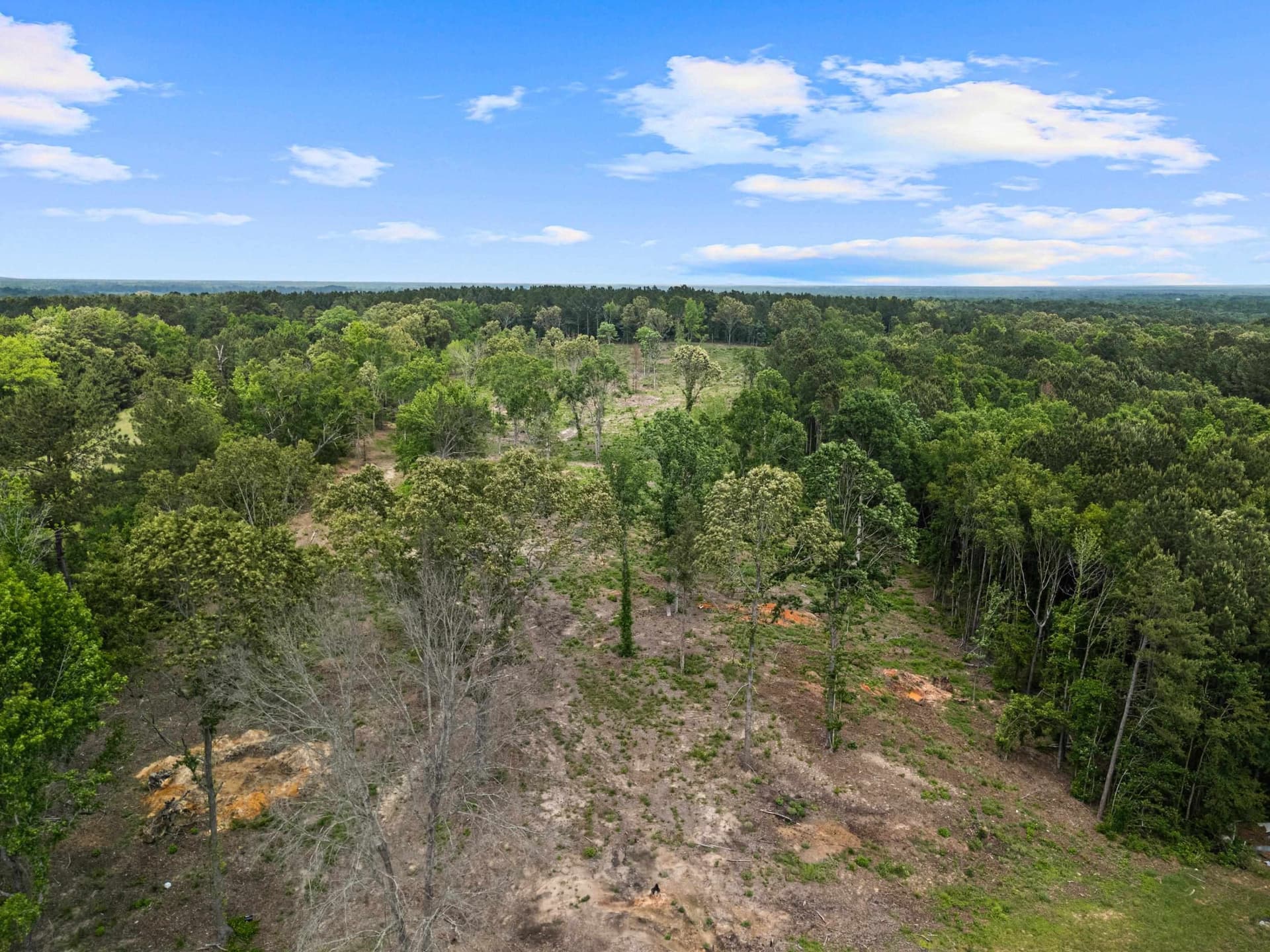 16.79 acres in Gregg County - photo 21