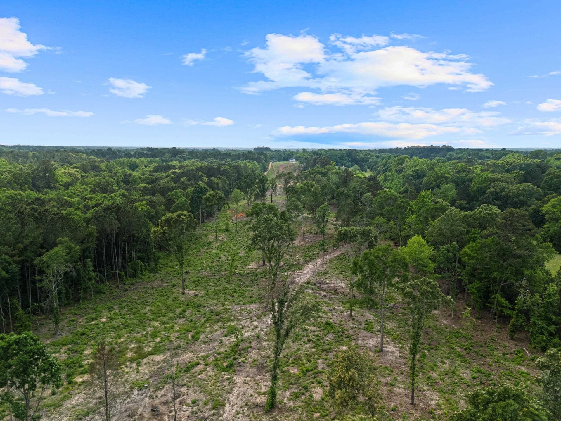 16.79 acres in Gregg County - photo 24