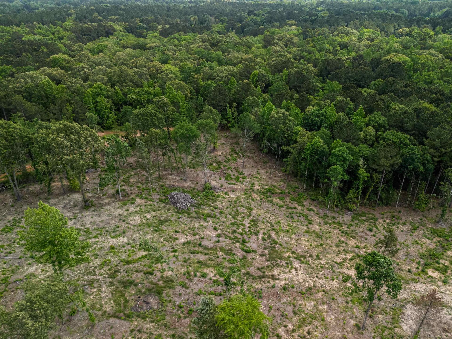 16.79 acres in Gregg County - photo 23