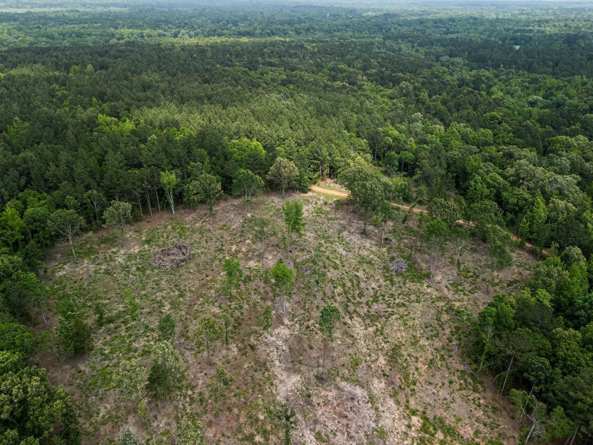 16.79 acres in Gregg County - photo 22