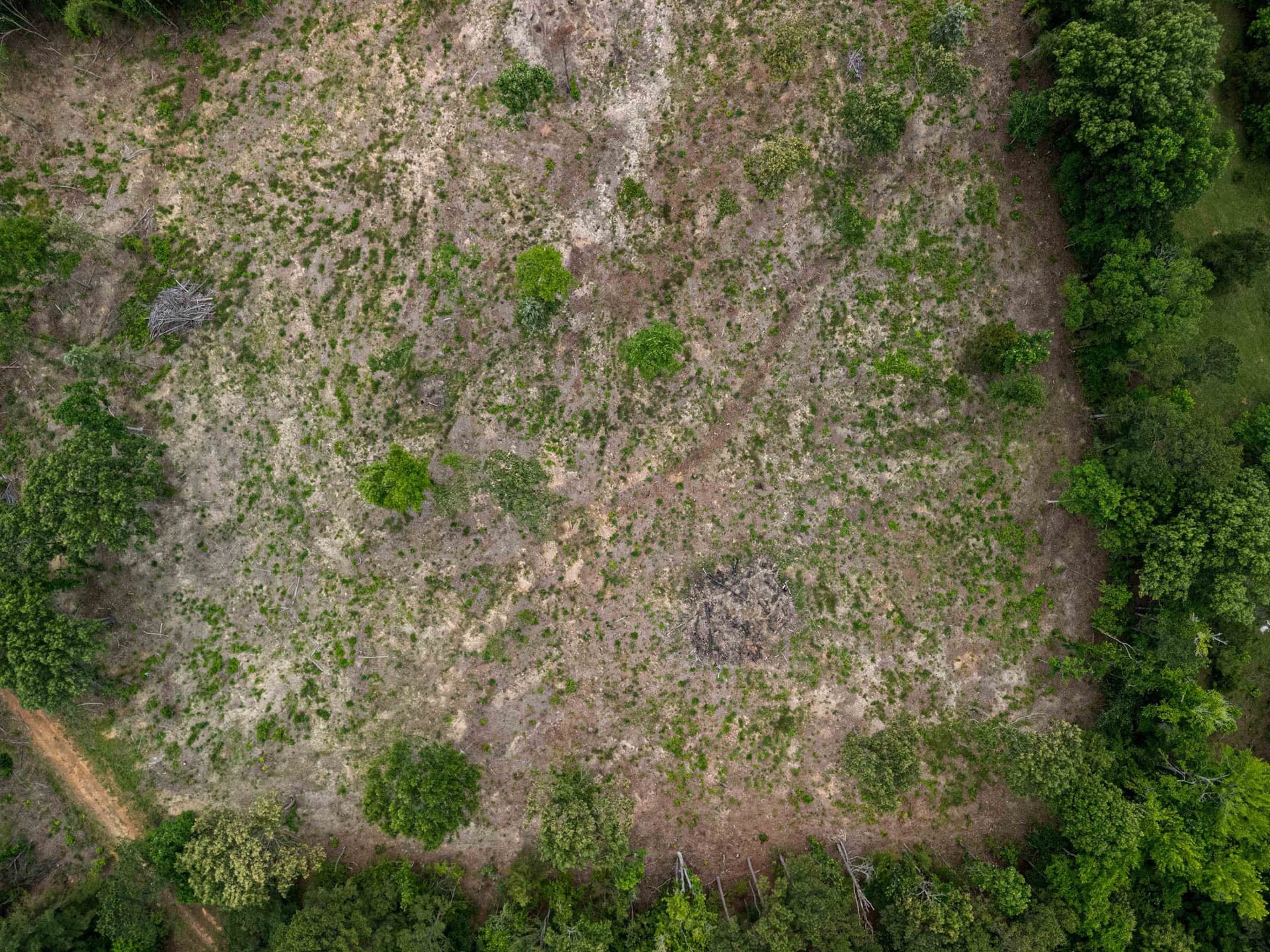 16.79 acres in Gregg County - photo 26
