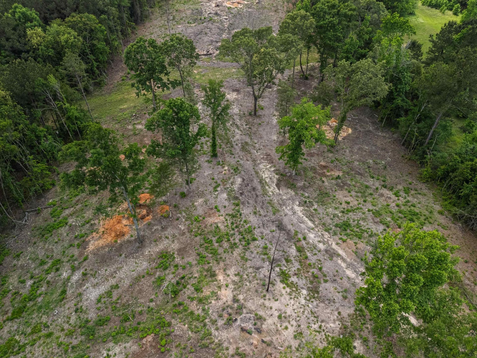 16.79 acres in Gregg County - photo 12