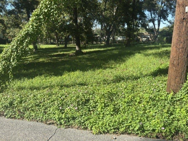 0.35 acres in Grayson County - photo 2