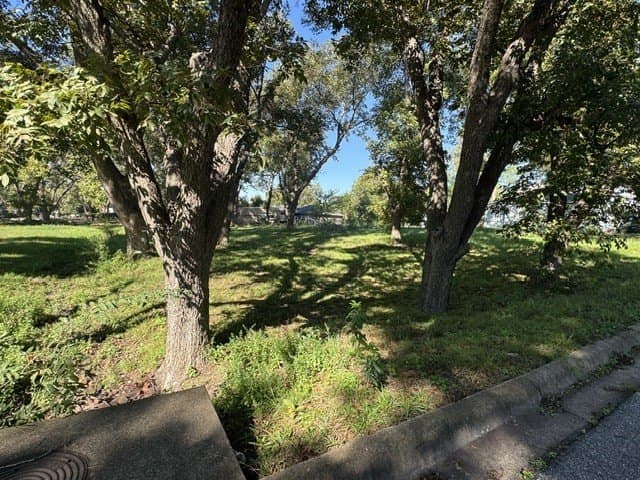 0.35 acres in Grayson County - photo 4