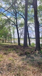 2.3 acres in Upshur County - photo 2