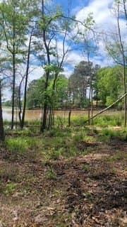 2.3 acres in Upshur County