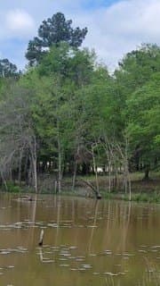 2.3 acres in Upshur County - photo 3