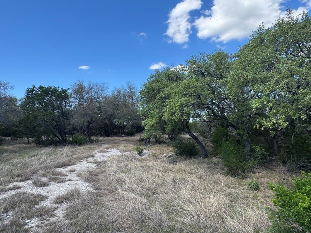 12.74 acres in Blanco County gallery image 2
