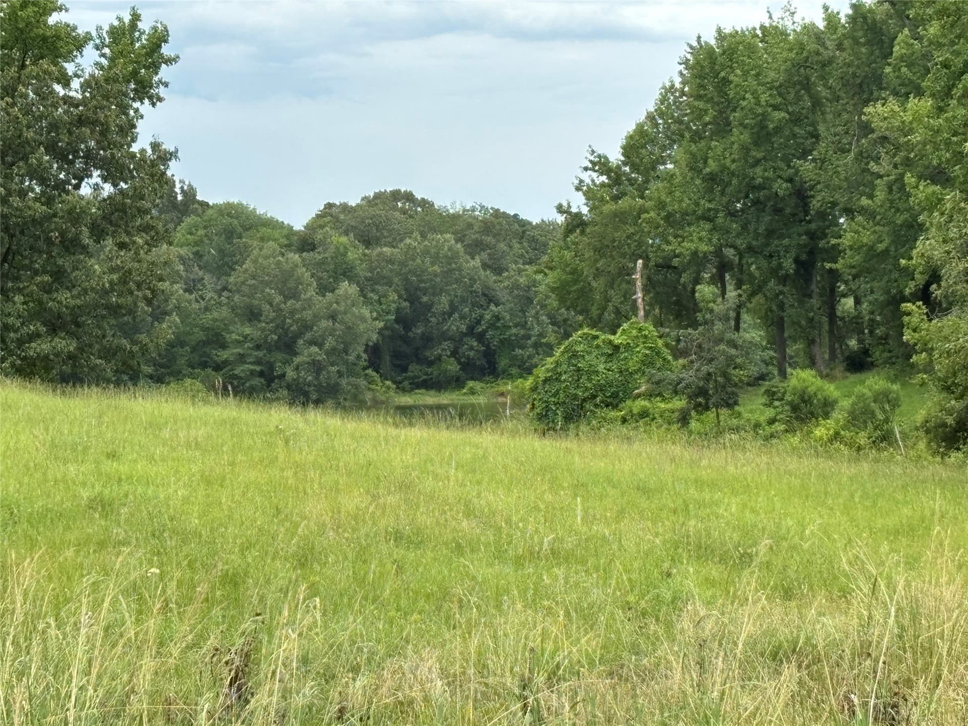 1.14 acres in Titus County gallery image 4