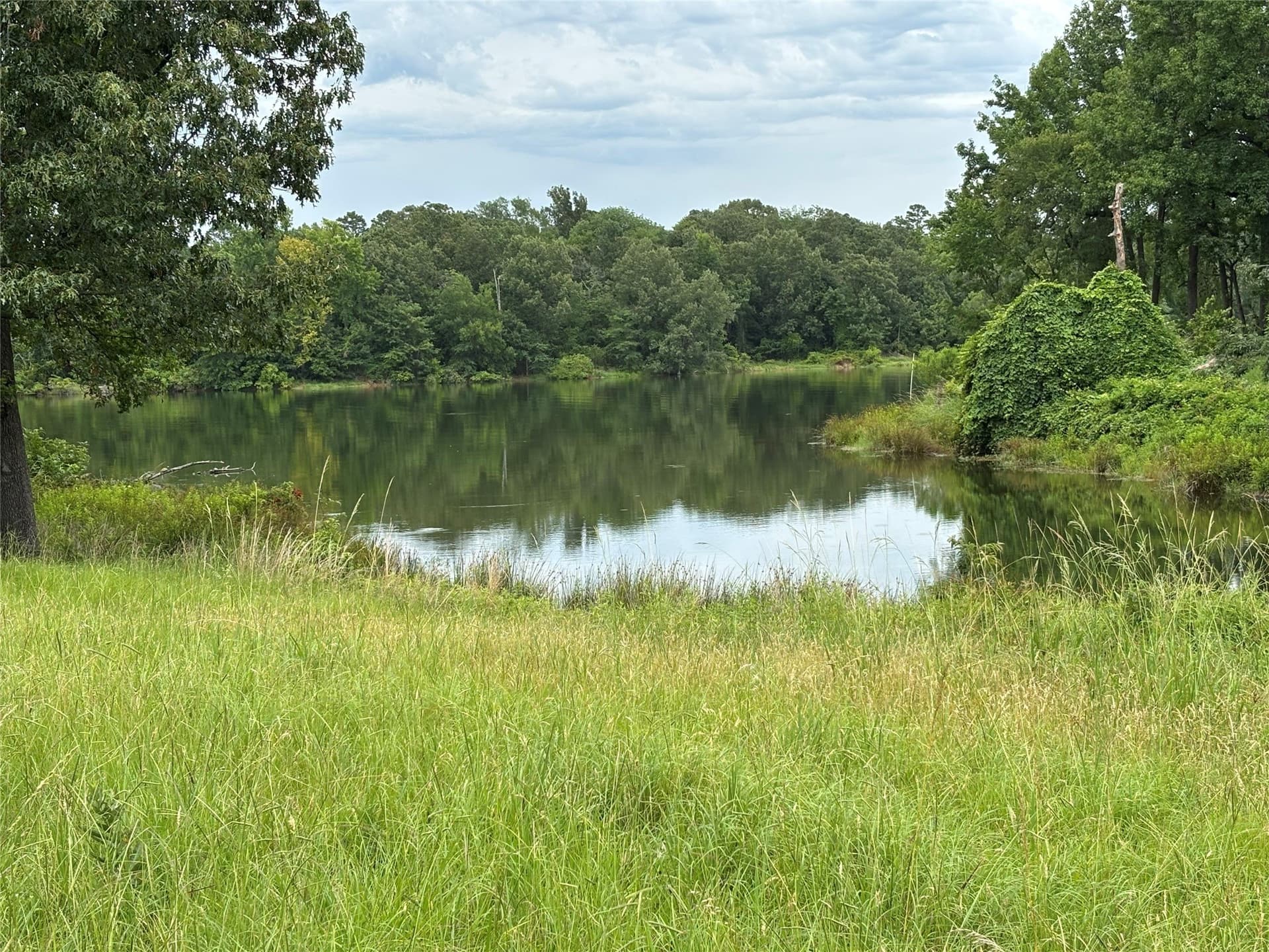 1.14 acres in Titus County gallery image 3
