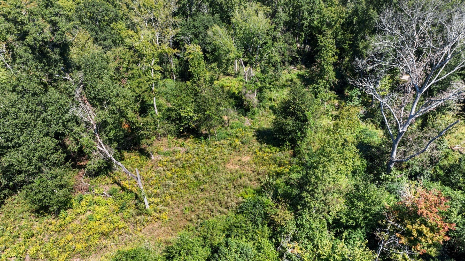 12.49 acres in Van Zandt County - photo 38
