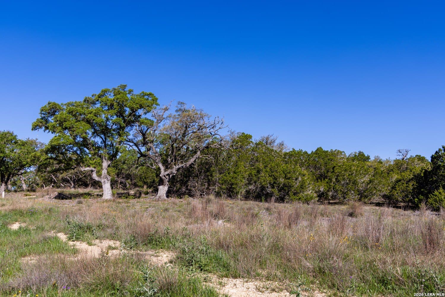 11 acres in Comal County