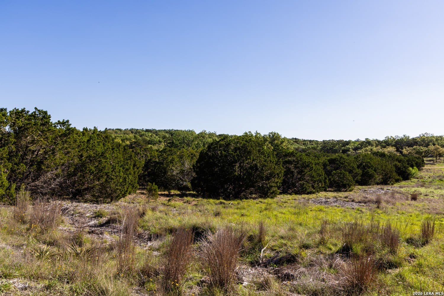 11 acres in Comal County gallery image 2