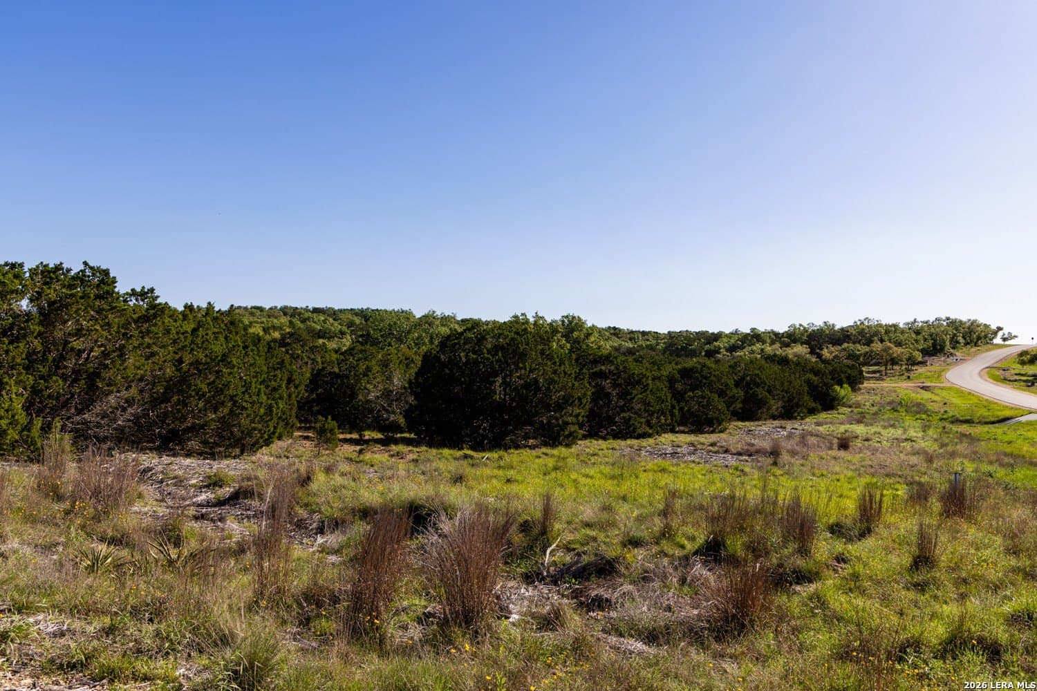 11 acres in Comal County gallery image 3