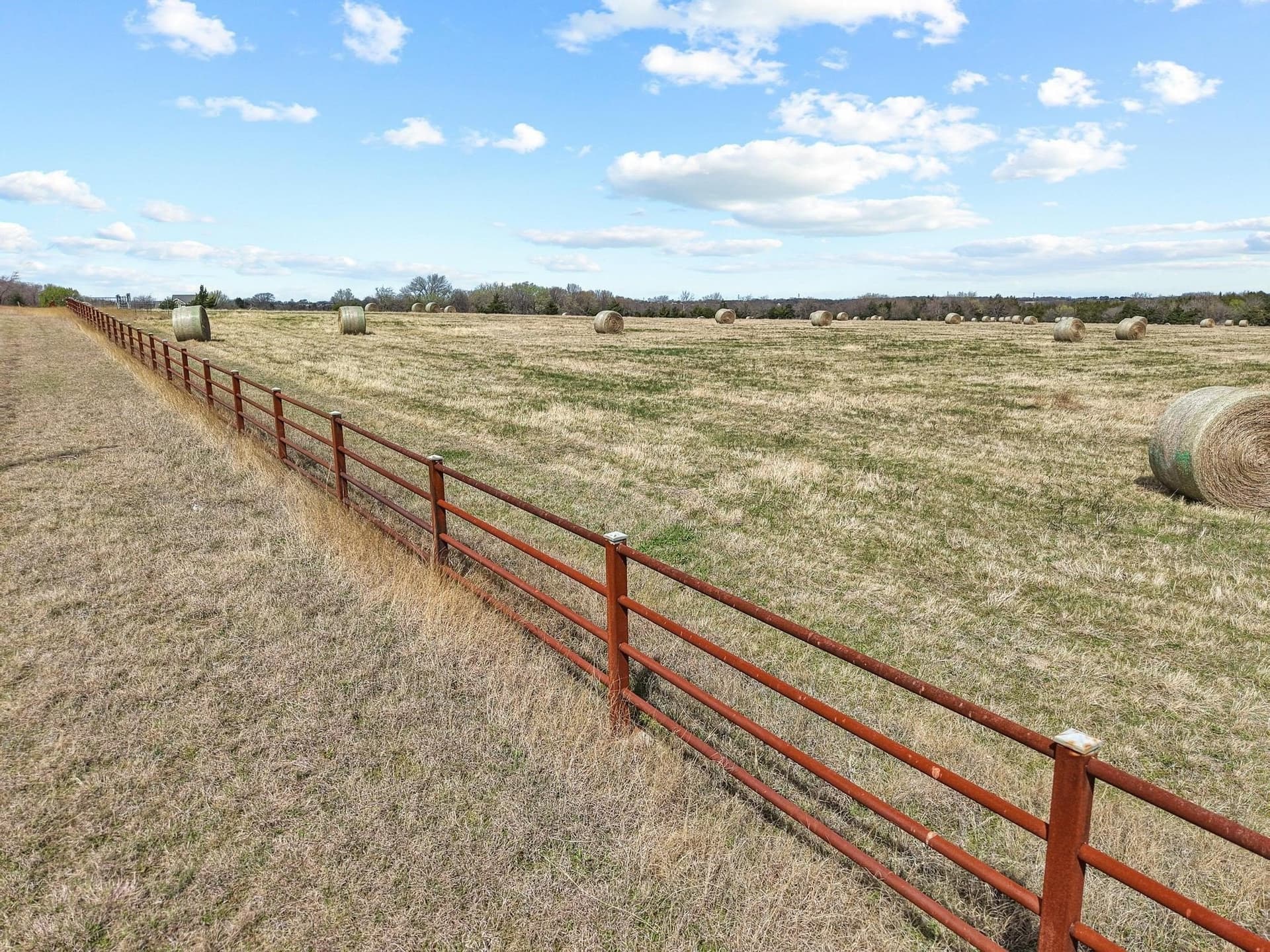 77.03 acres in Grayson County gallery image 4