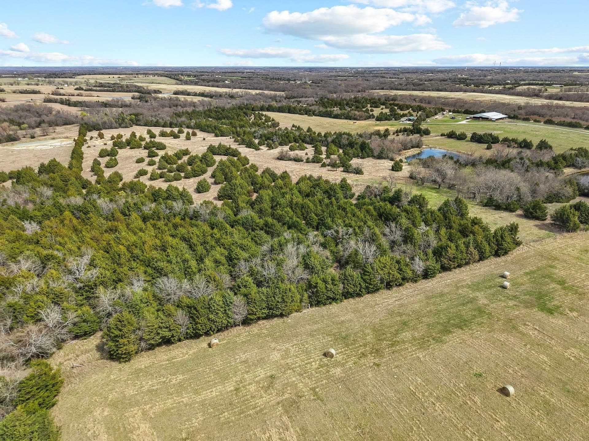 77.03 acres in Grayson County - photo 11