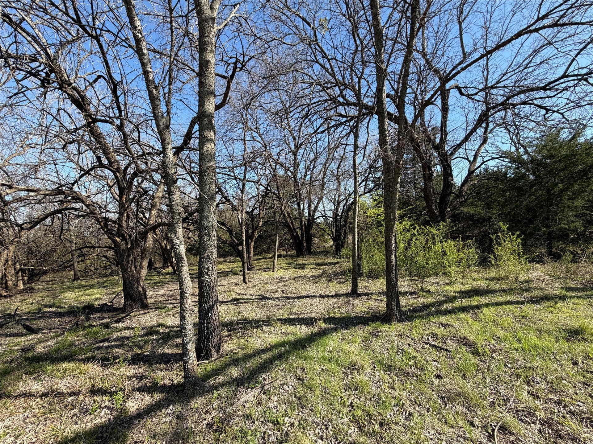 77.03 acres in Grayson County - photo 8