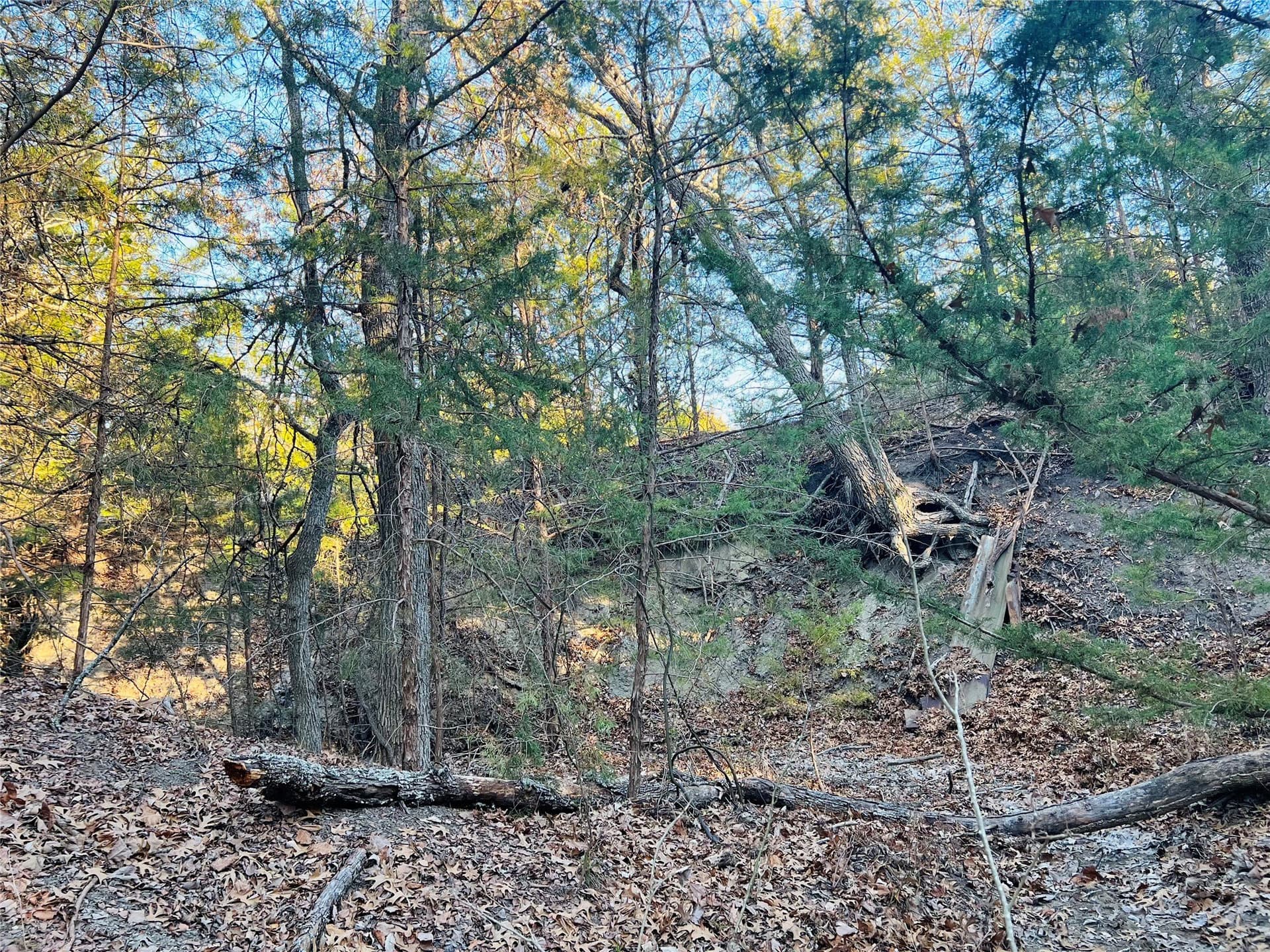 77.03 acres in Grayson County - photo 7
