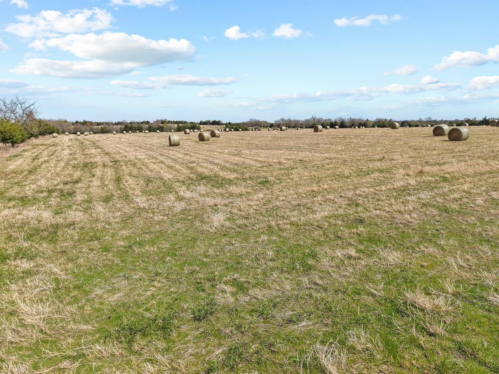 77.03 acres in Grayson County - photo 6