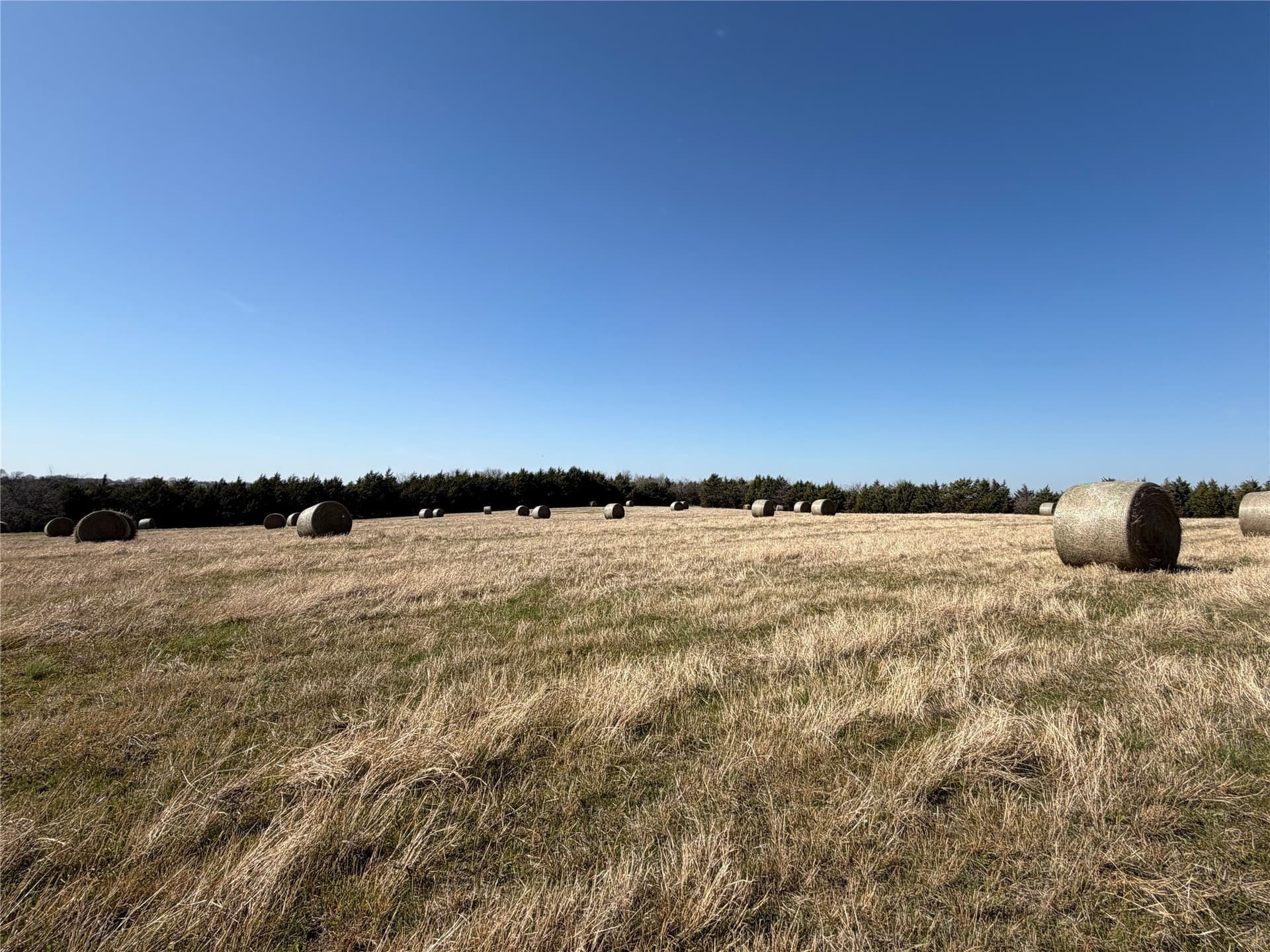 77.03 acres in Grayson County - photo 38