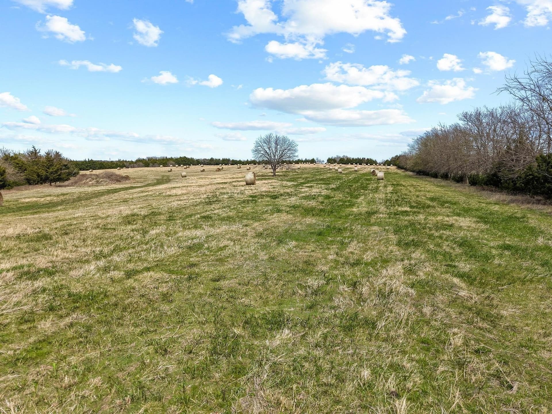 77.03 acres in Grayson County - photo 37