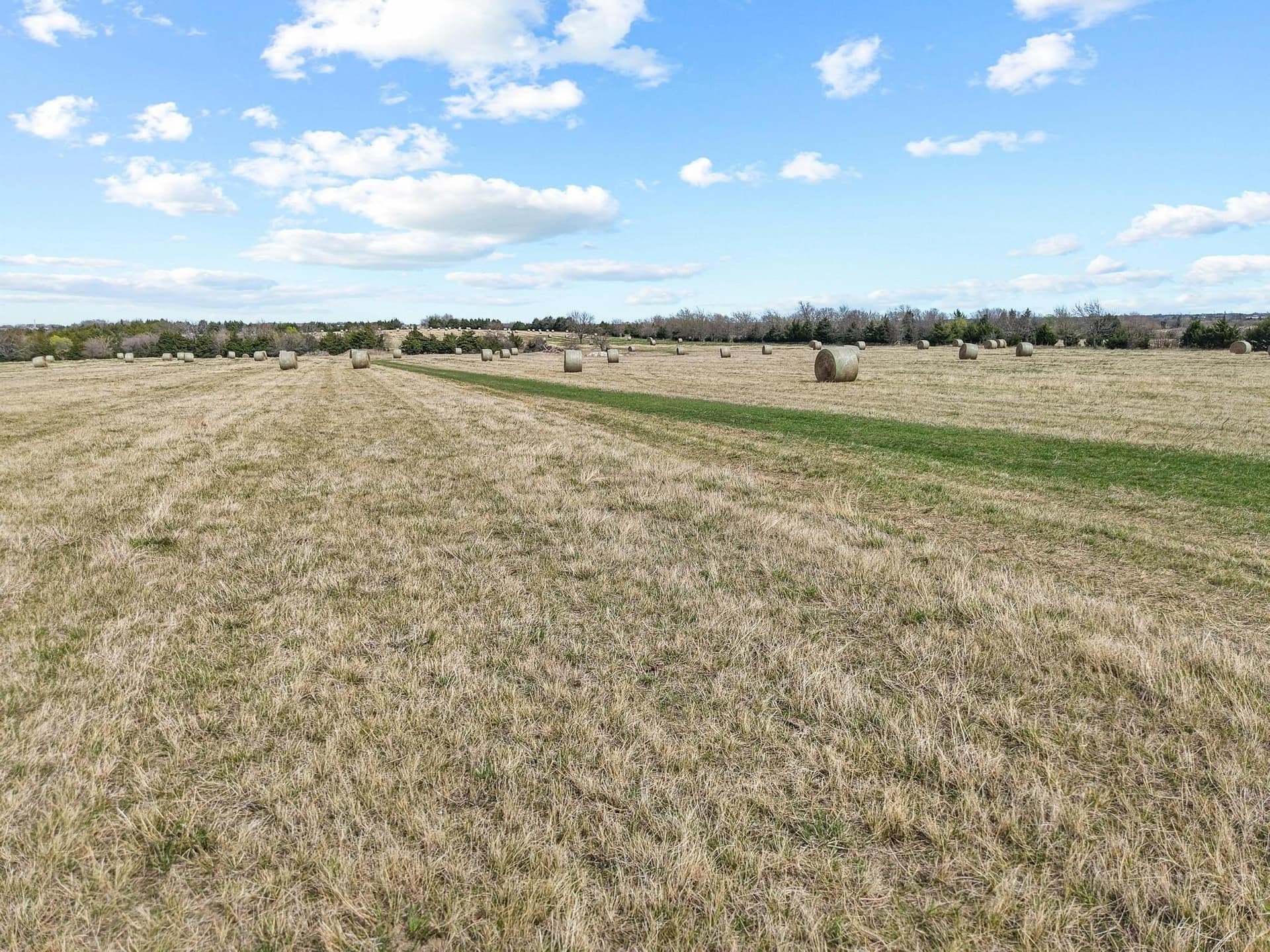 77.03 acres in Grayson County - photo 22